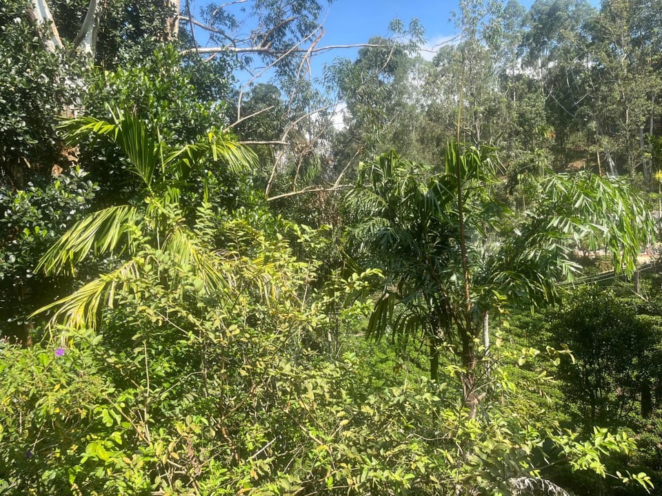 Natural landscape, Garden view