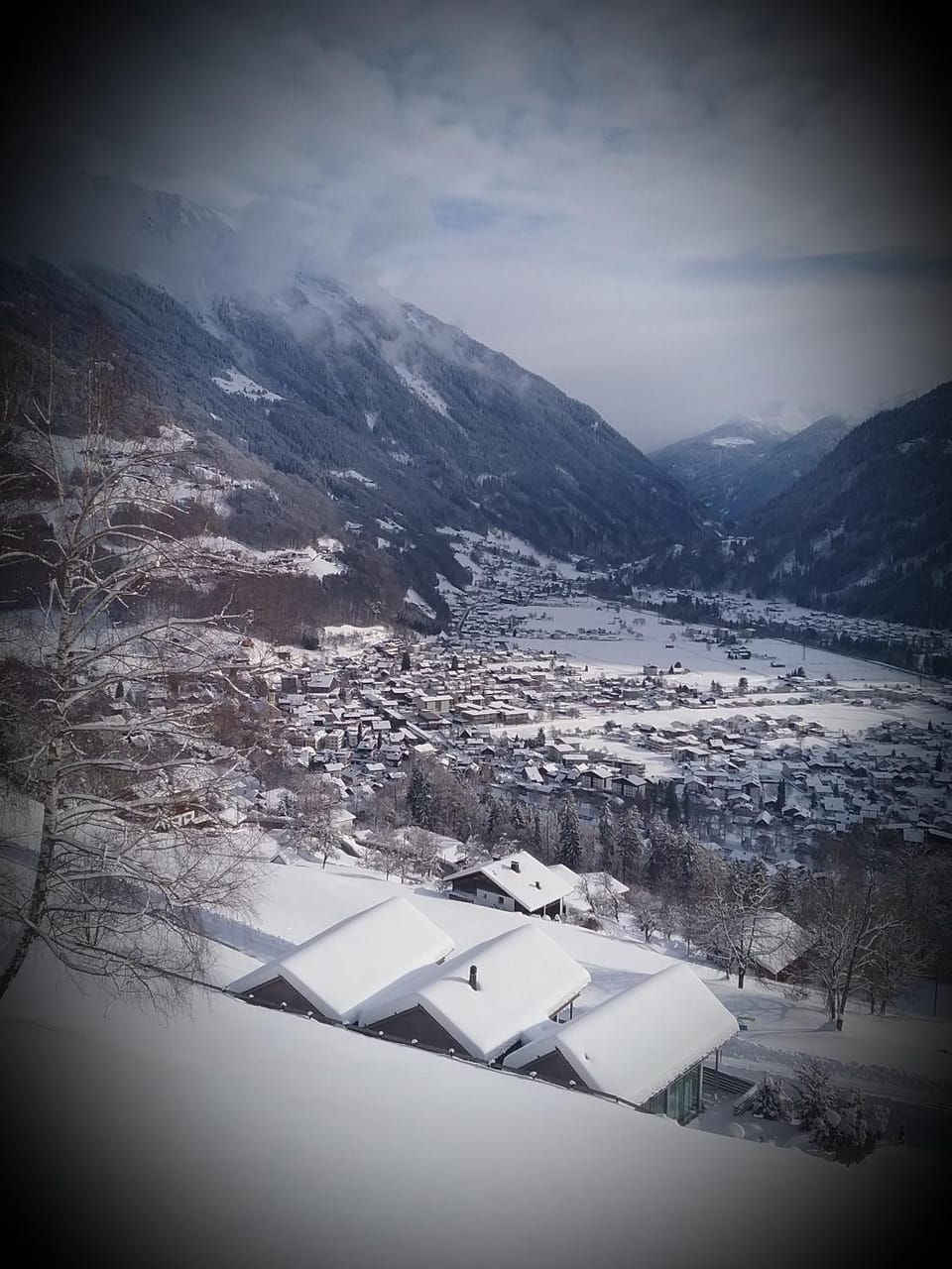 Mountain view