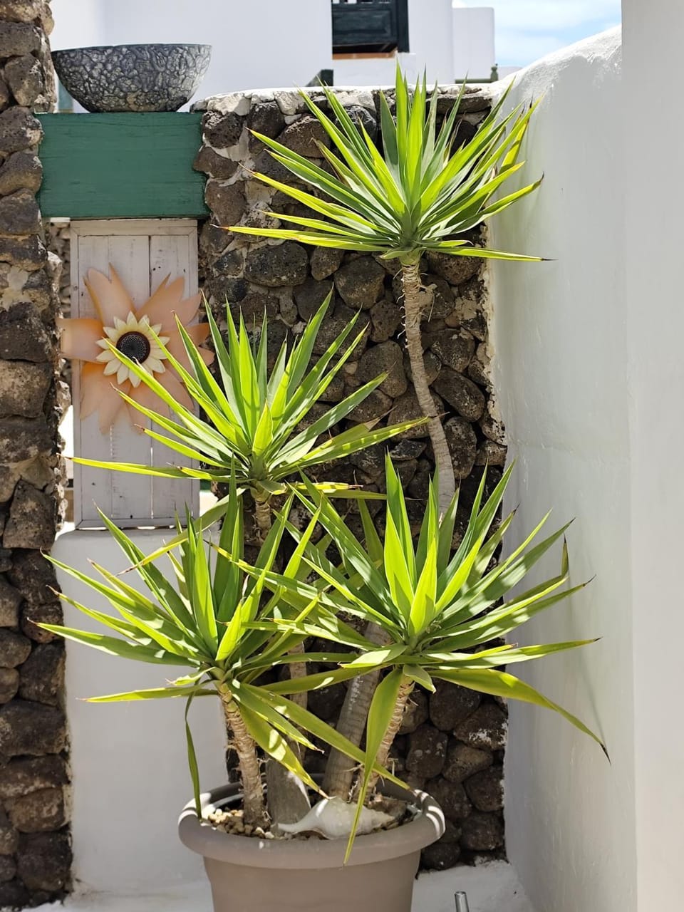 Ave Paraíso - Cozy and Sunny house Apartment in Puerto del Carmen