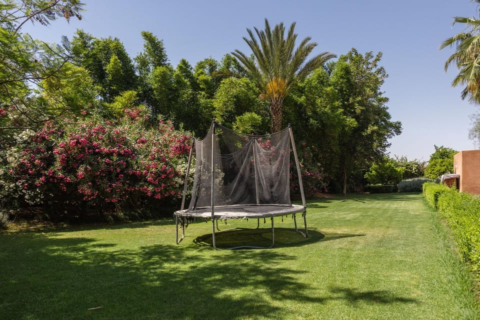 Day, Natural landscape, Garden, Garden view