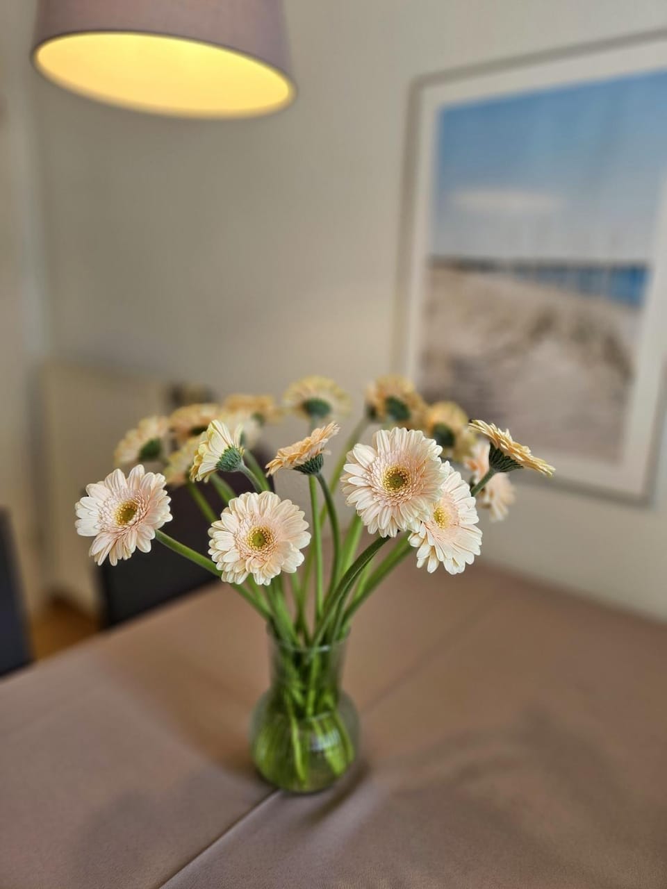 "Pappelhof - Whg 4" Apartment in Grömitz