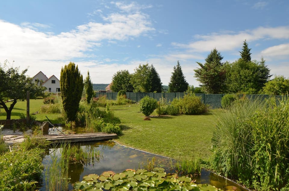 Children play ground, Garden, Minigolf