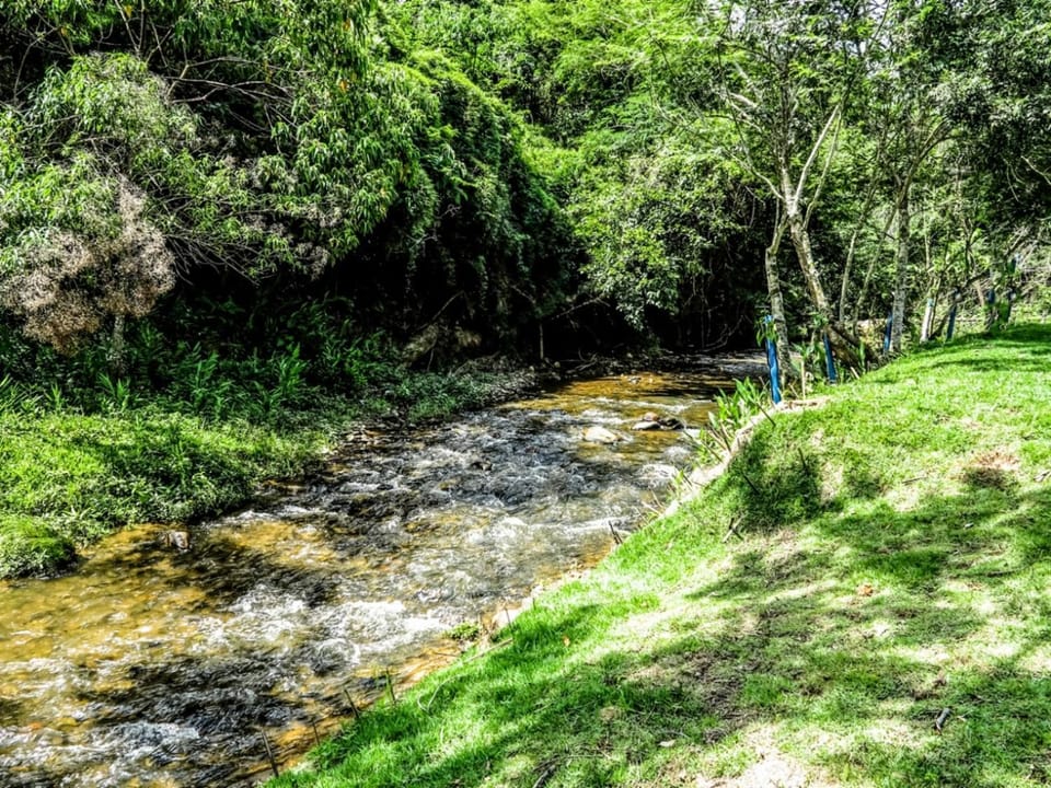 Chácara Bora Bora Nature lodge in State of São Paulo