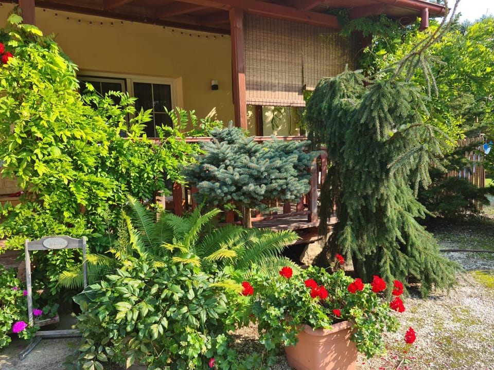 Facade/entrance, Garden