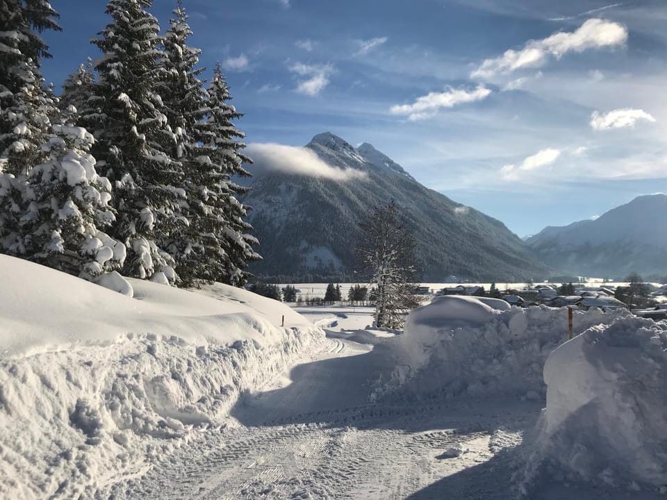 Mountain view