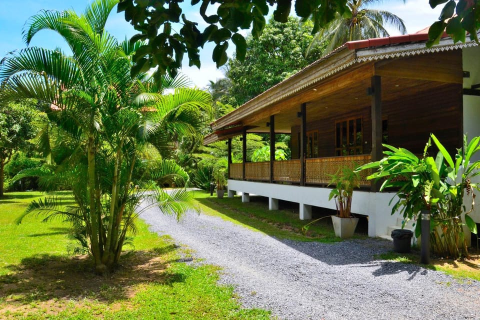 Garden, Garden, Garden view, Garden view