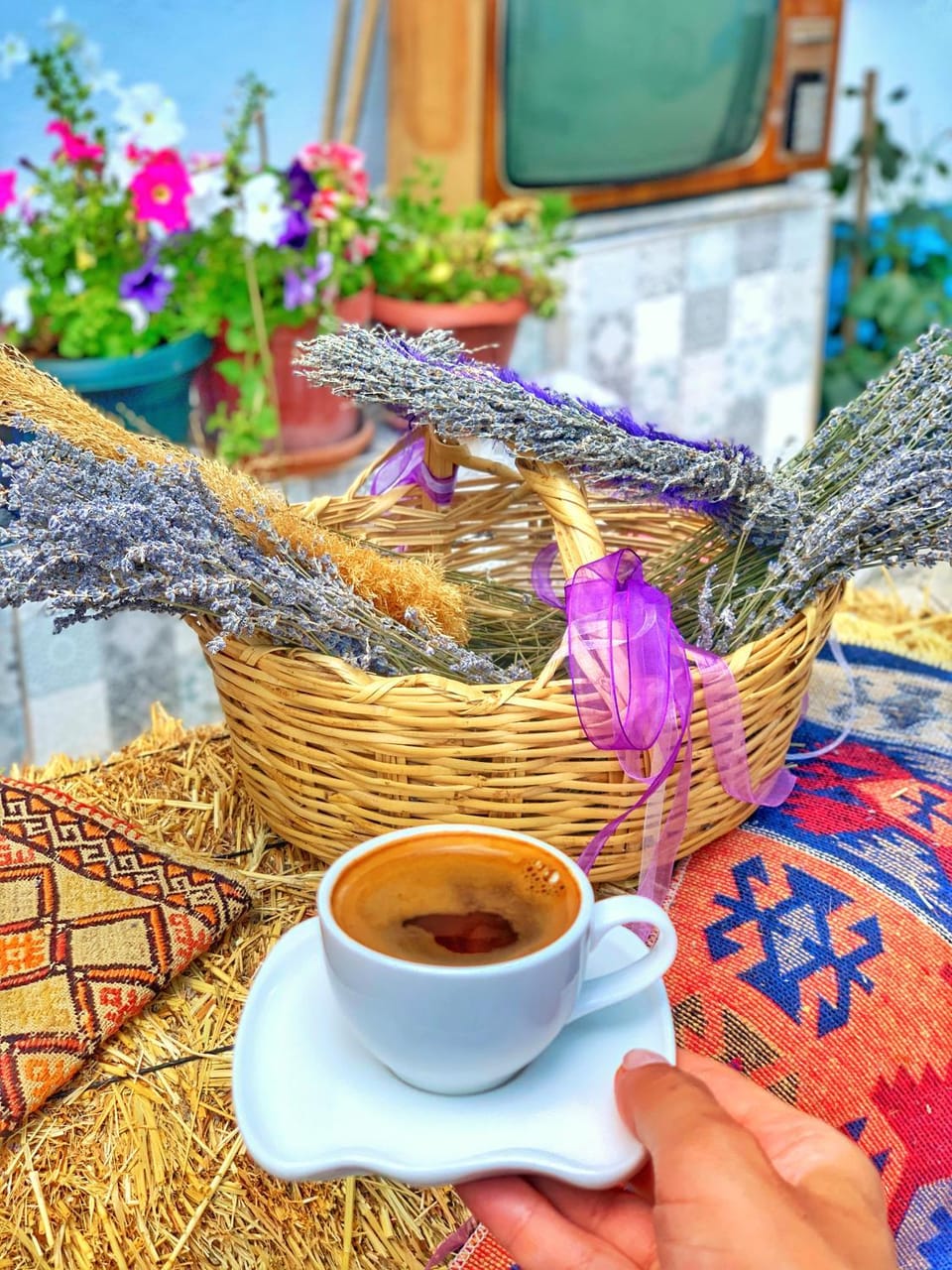Aliya Konak - Köy Evi ve Lezzetleri Hotel in Turkey