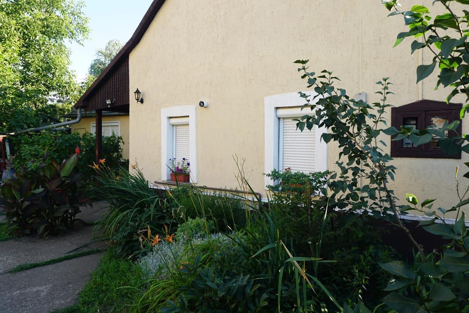Property building, Garden, Garden view