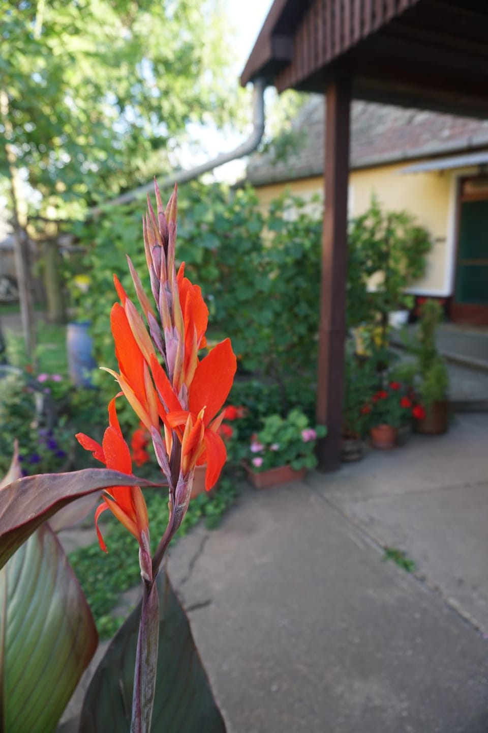 Garden, Garden