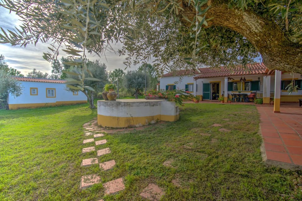 Natural landscape, Garden view