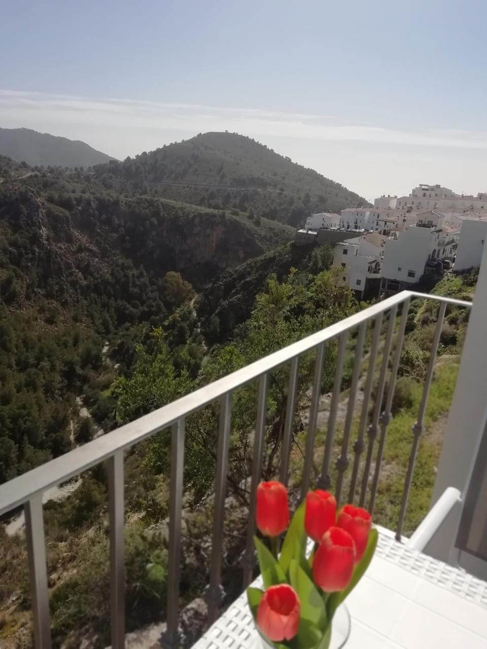 Acogedor estudio con vistas a la montaña Apartment in Frigiliana
