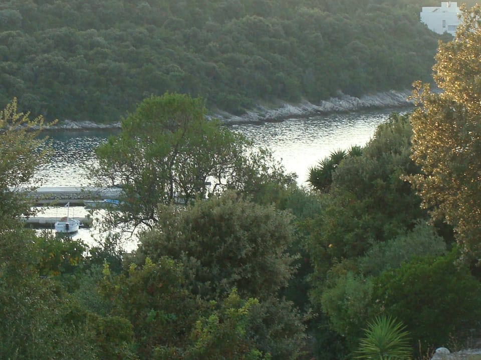 Natural landscape