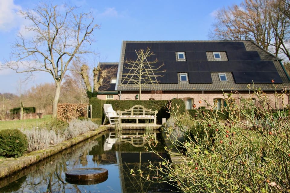 Property building, Spring, Garden view