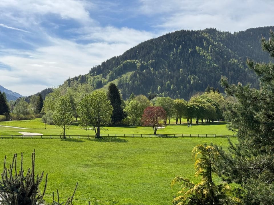 Golfcourse, View (from property/room), View (from property/room)