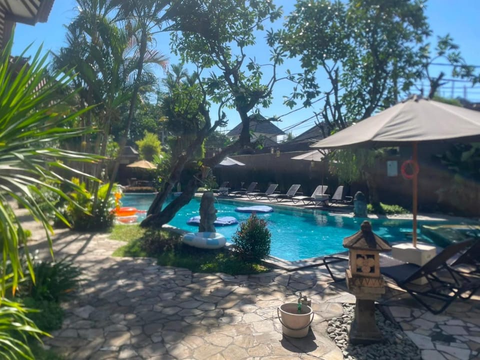 Natural landscape, Garden, Garden view, Pool view, Swimming pool, sunbed