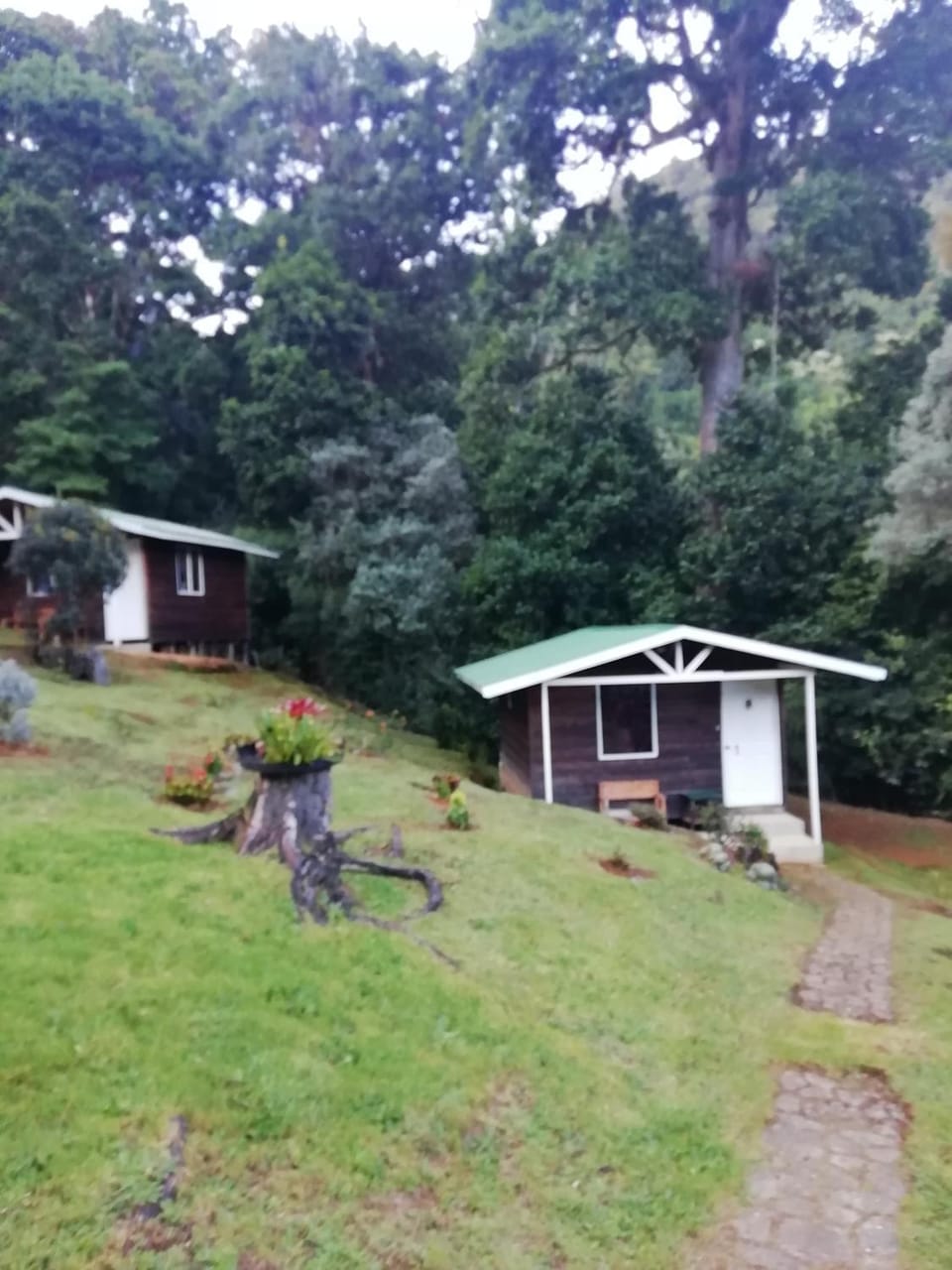 Miriam'S Quetzals lodge Bed and Breakfast in Cartago Province, Costa Rica