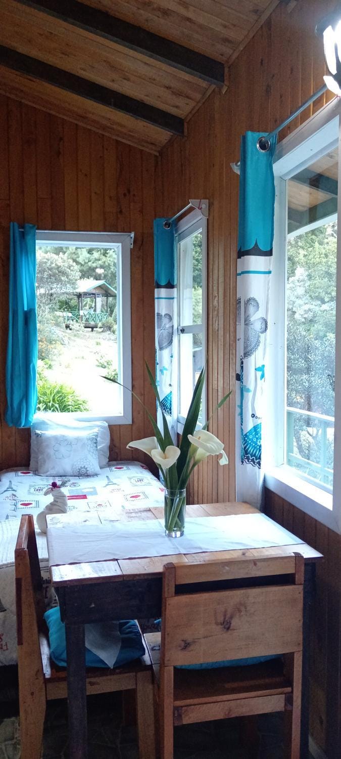 Miriam'S Quetzals lodge Bed and Breakfast in Cartago Province, Costa Rica