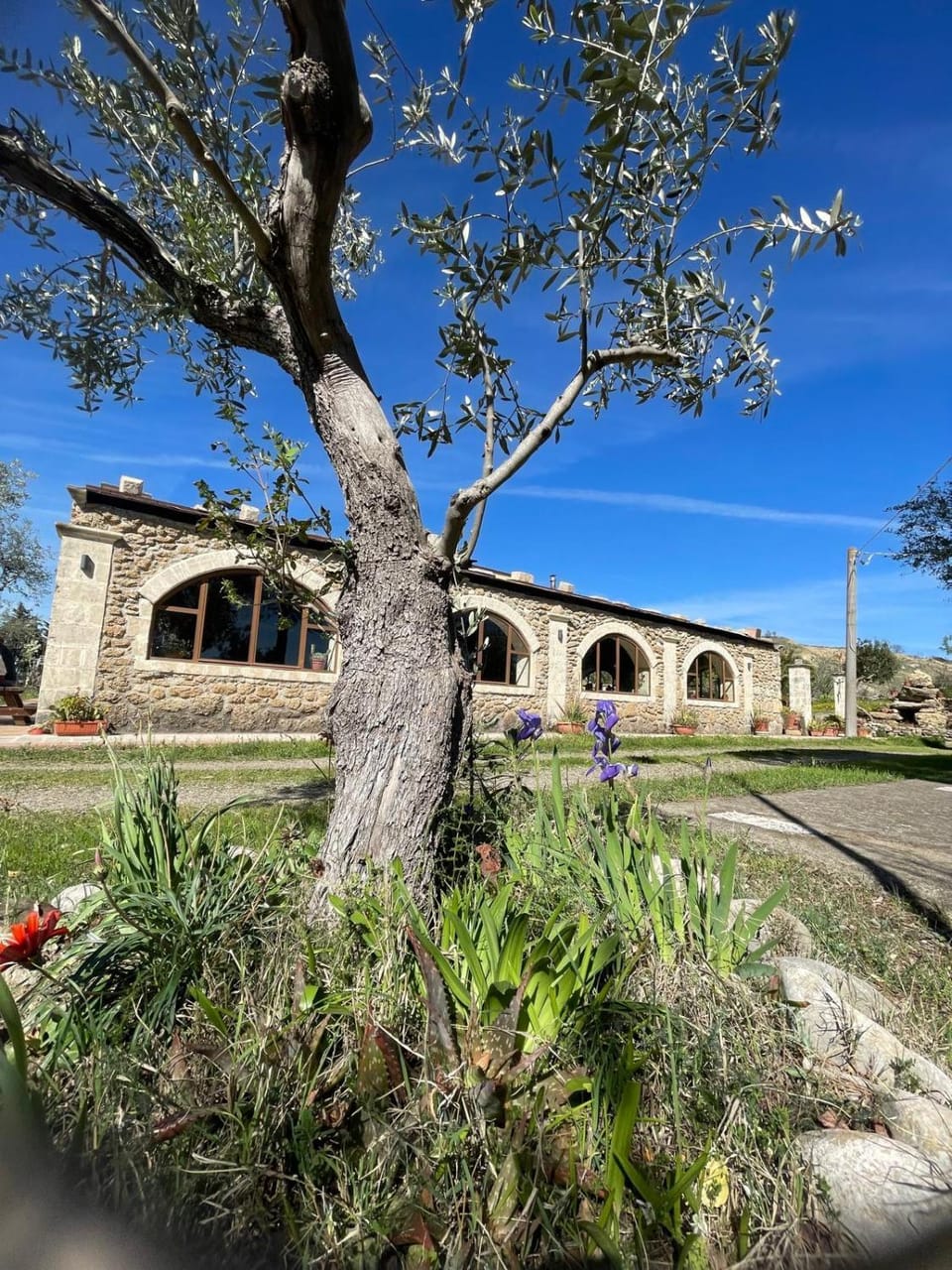 Property building, Garden, Garden view