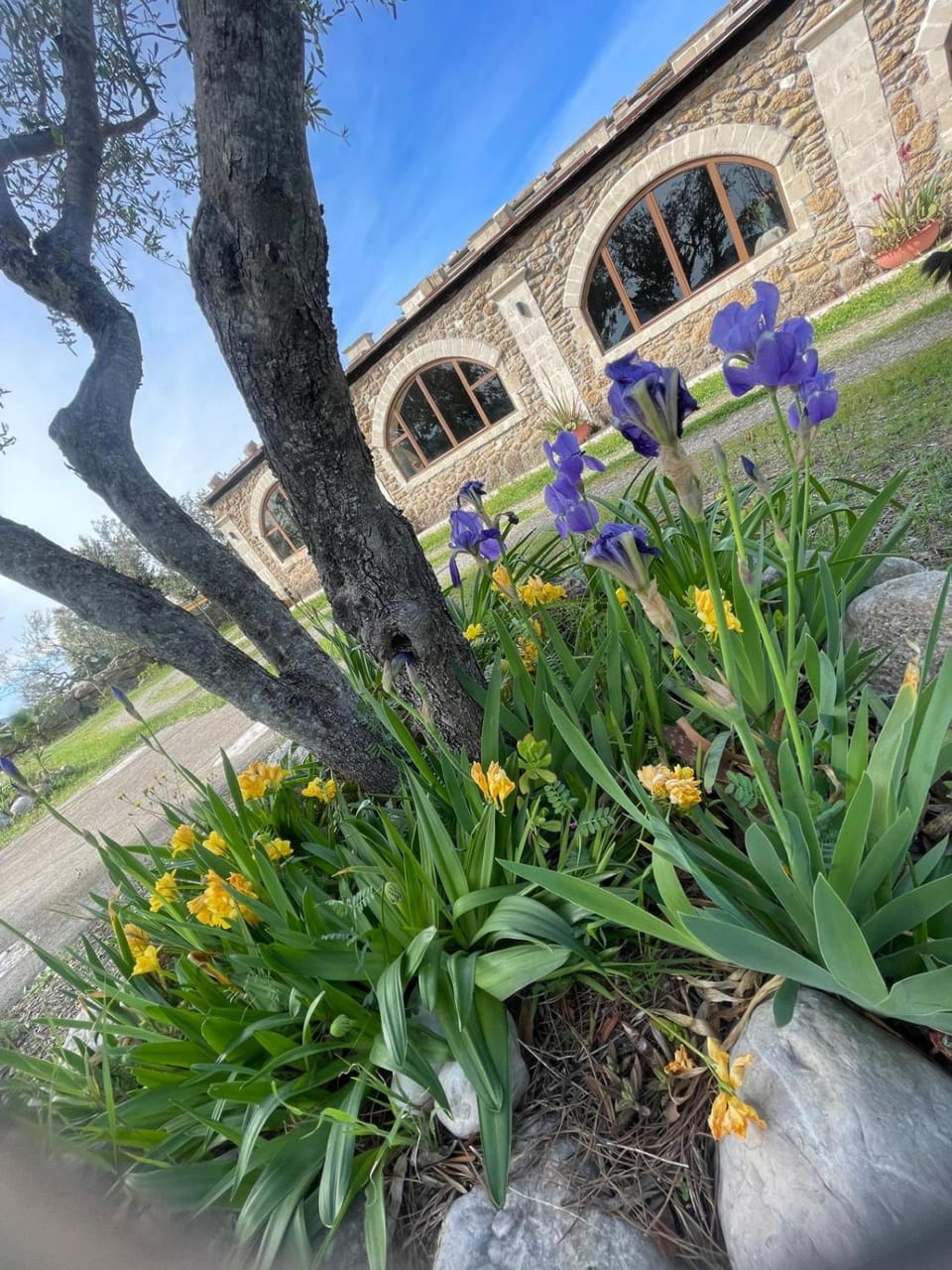 Property building, Garden, Garden view