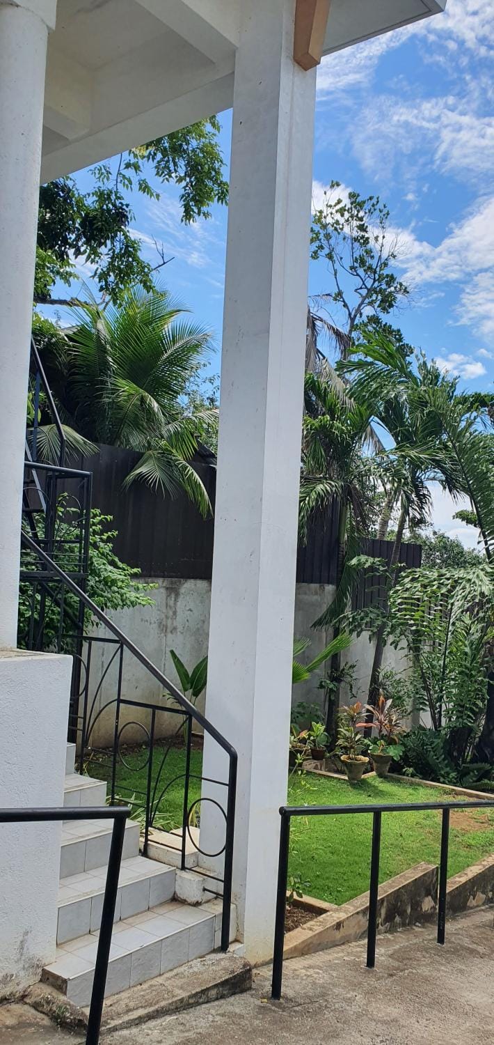 Patio, Garden