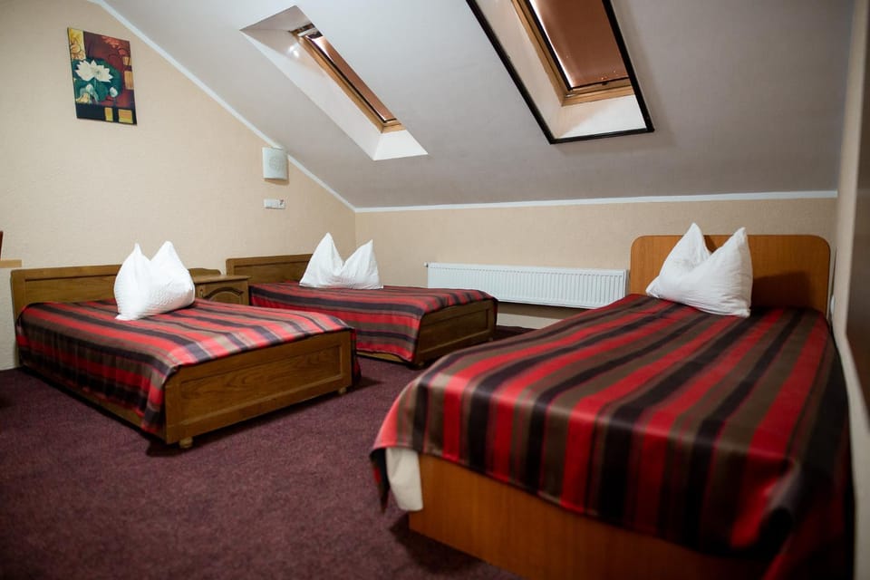 Vila Tineretului Bed and Breakfast in Romania