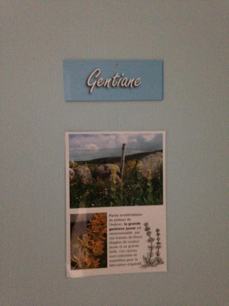 GITE DU FORAIL Inn in Auvergne-Rhône-Alpes