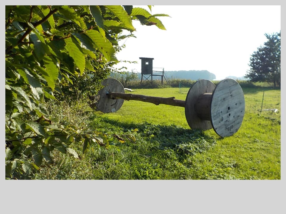 Natural landscape, Garden