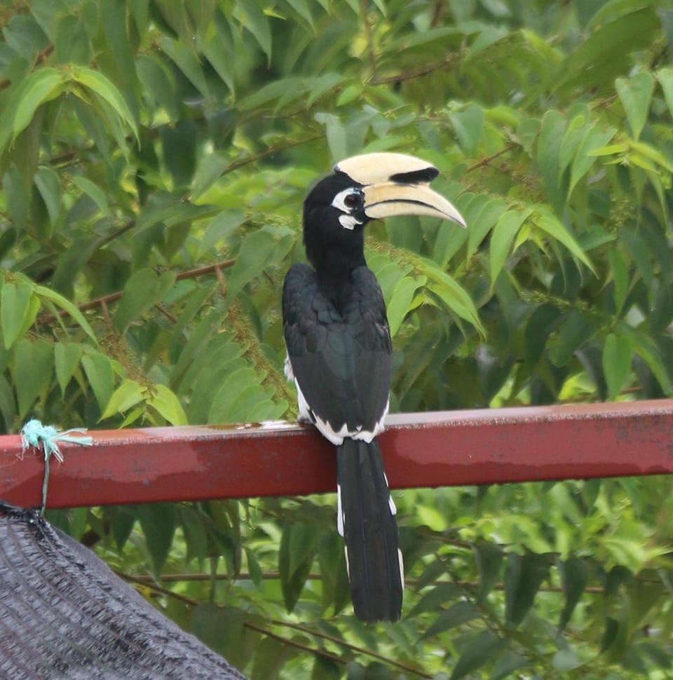 Veranda Nautica Bed and Breakfast in Kedah