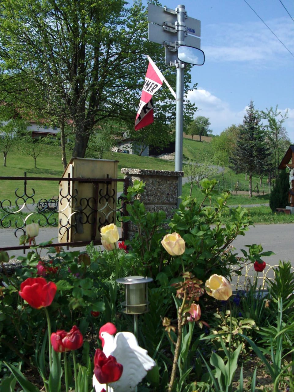 Garden view