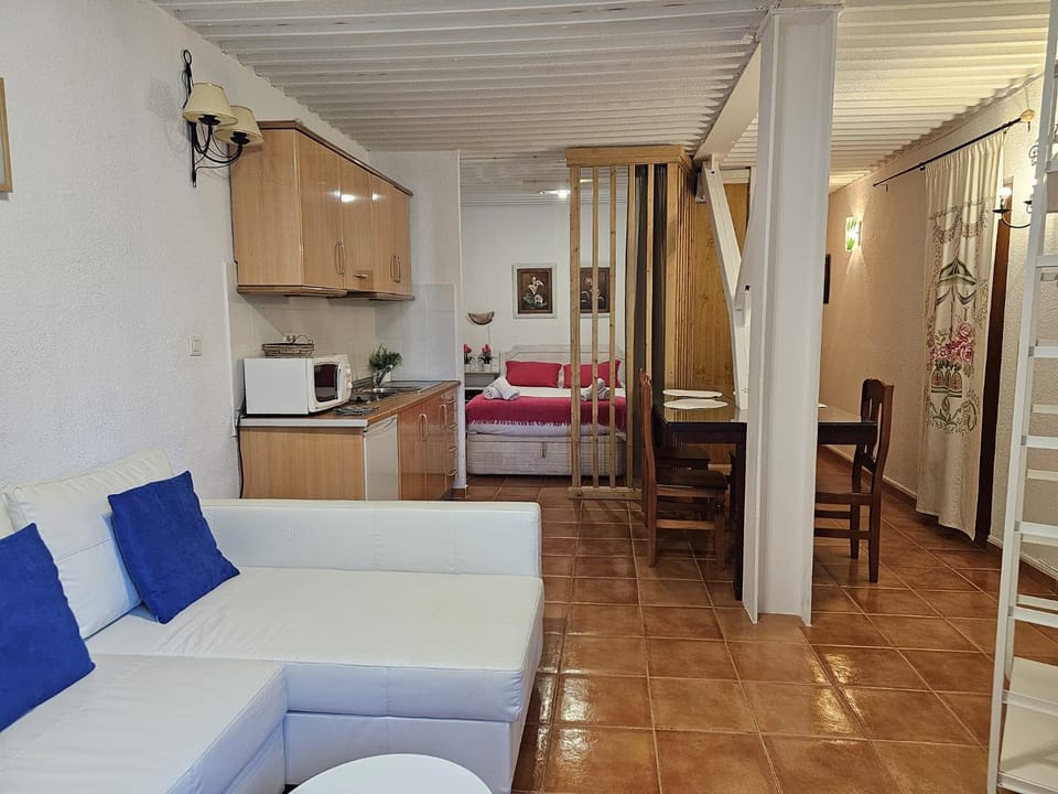 Bed, Kitchen or kitchenette, Living room, Photo of the whole room, Seating area, Dining area, Bedroom
