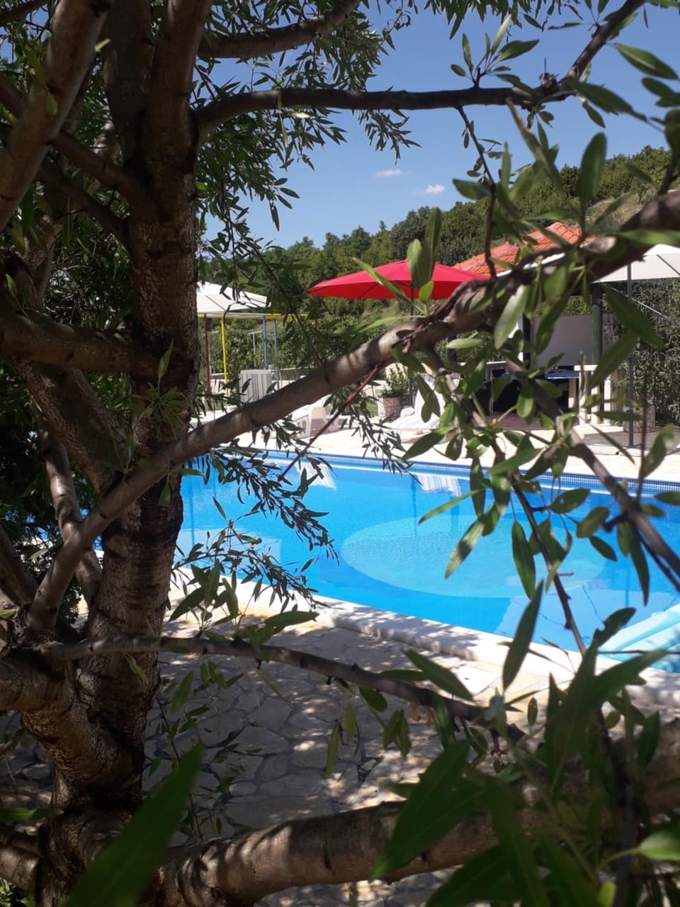 Pool view