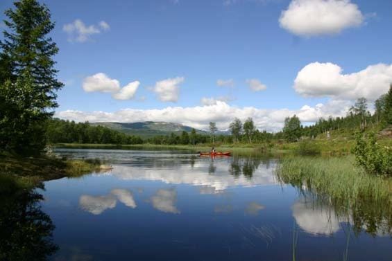 Lake view