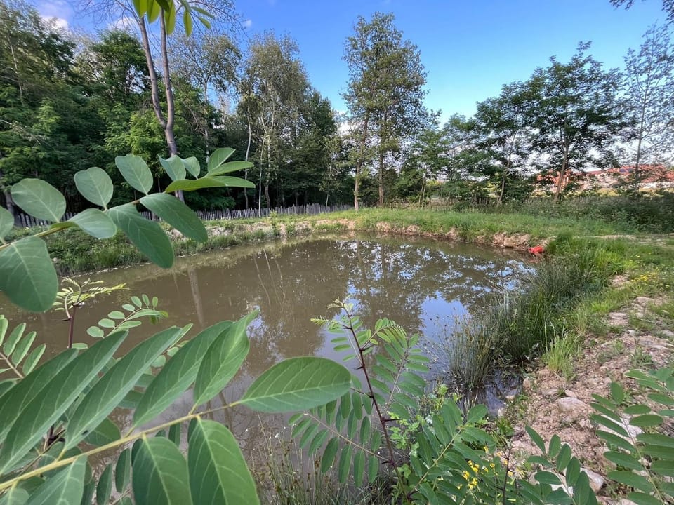 Pensiunea Casa Domnitei Bed and Breakfast in Romania