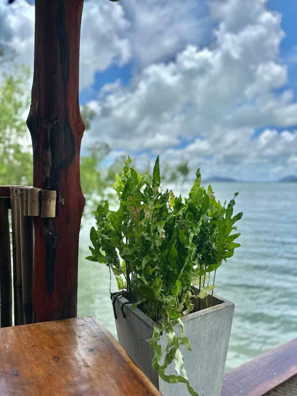 Sea view