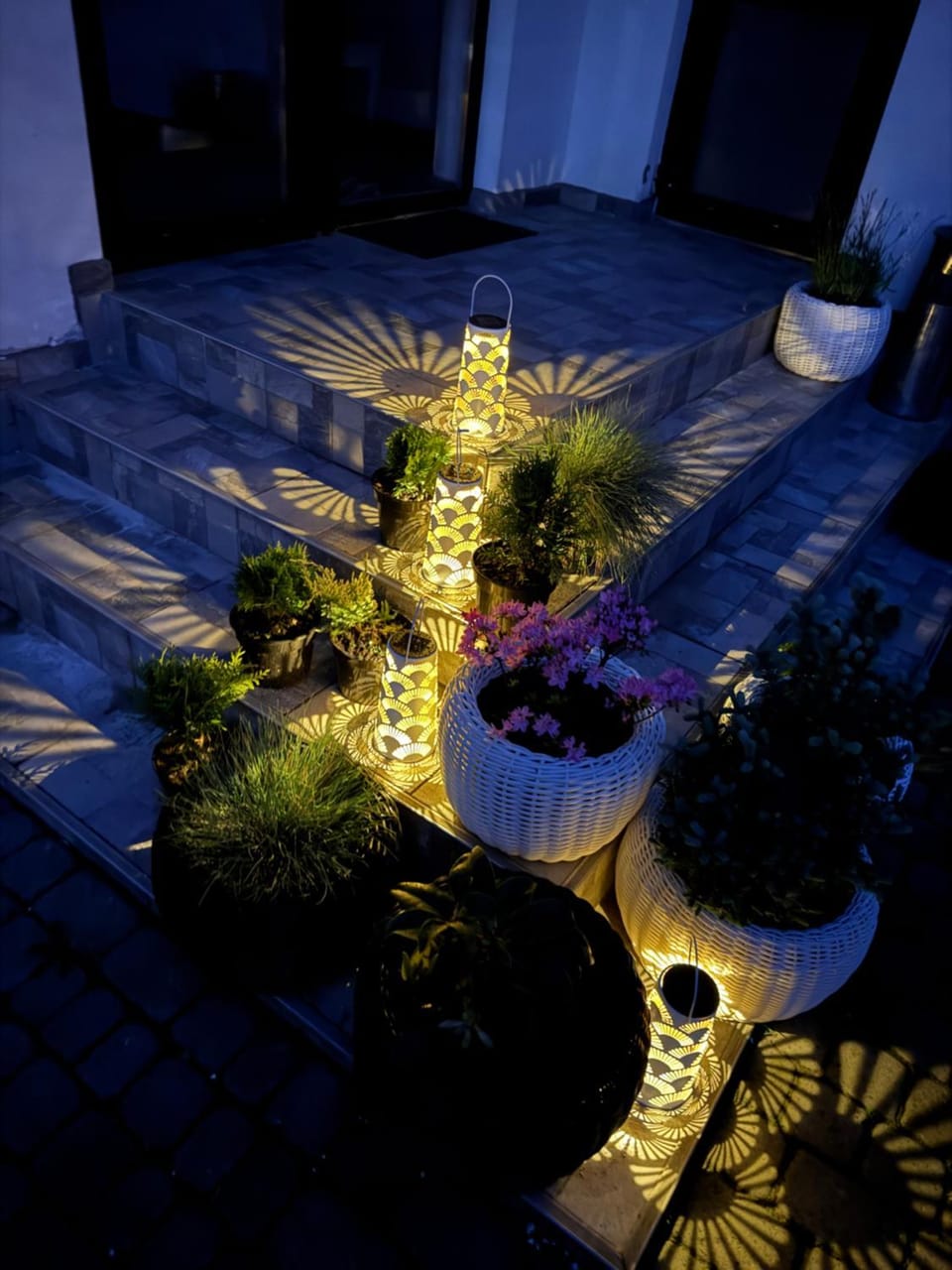 Night, Garden, Garden view
