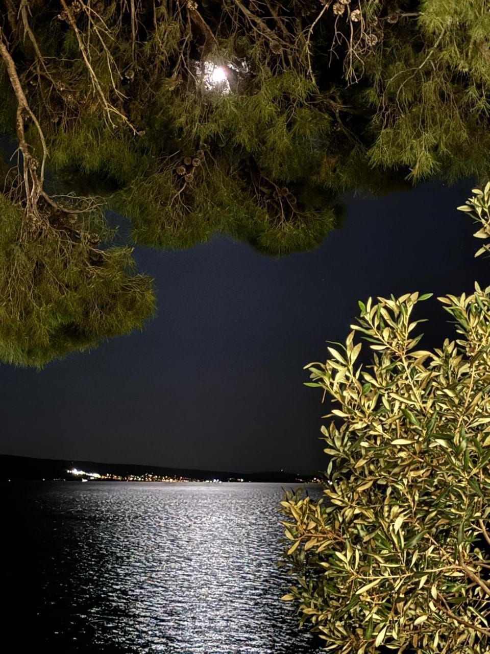 Villa Maristika Apartment in Split-Dalmatia County