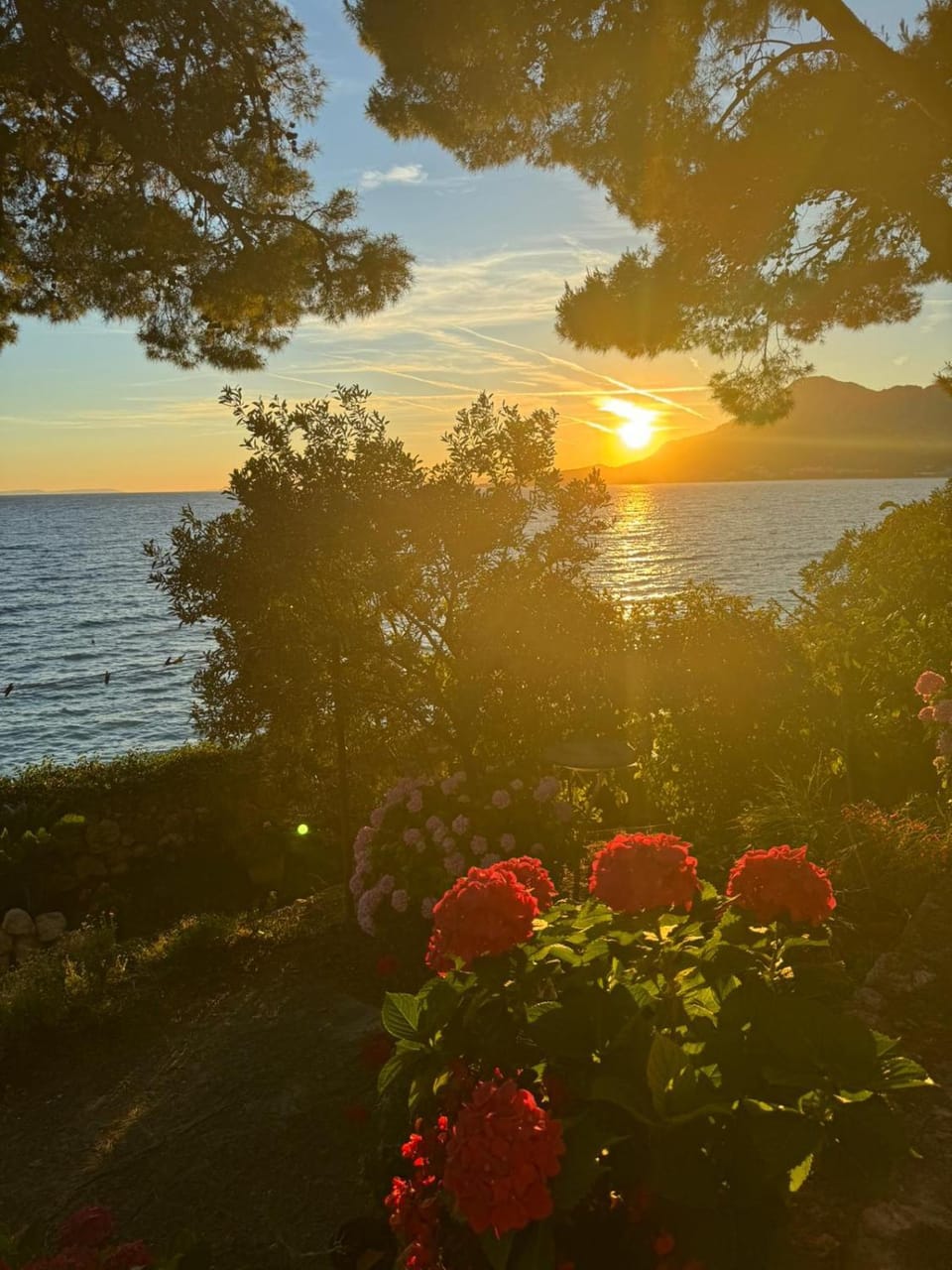 Villa Maristika Apartment in Split-Dalmatia County
