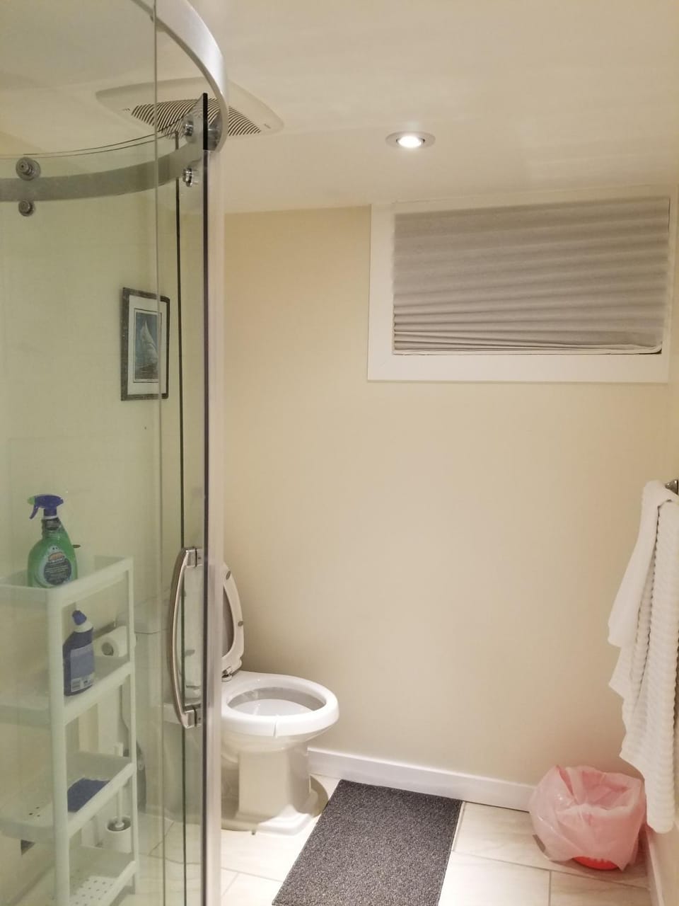 Shower, Toilet, Bathroom, towels