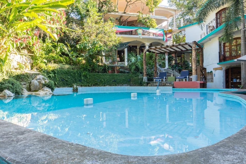 Garden, Pool view, Swimming pool