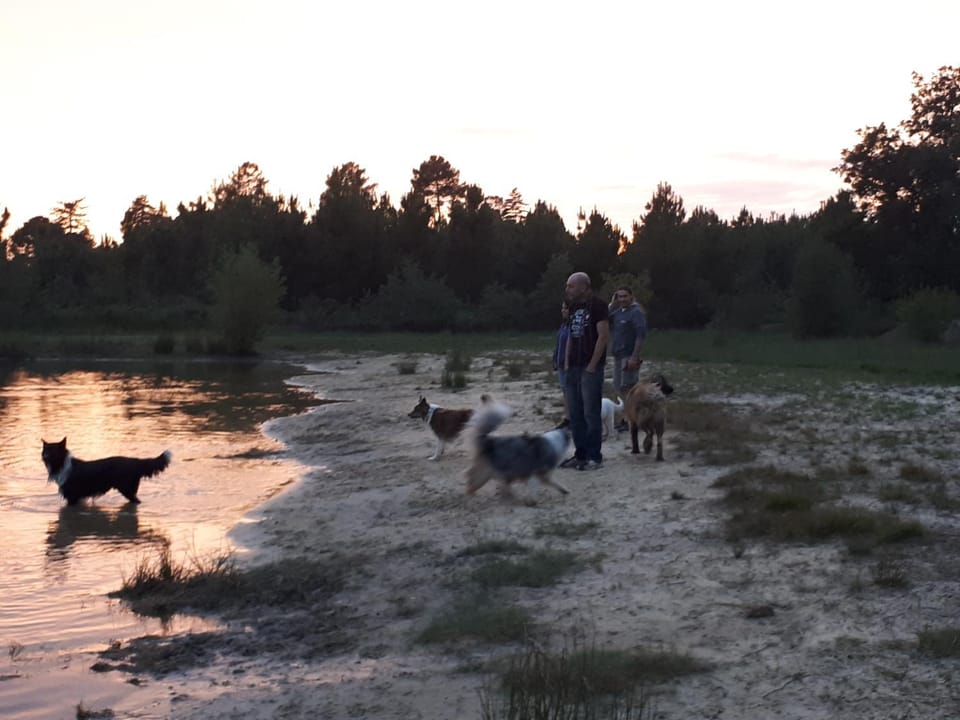 Day, Natural landscape, Pets, Lake view, group of guests