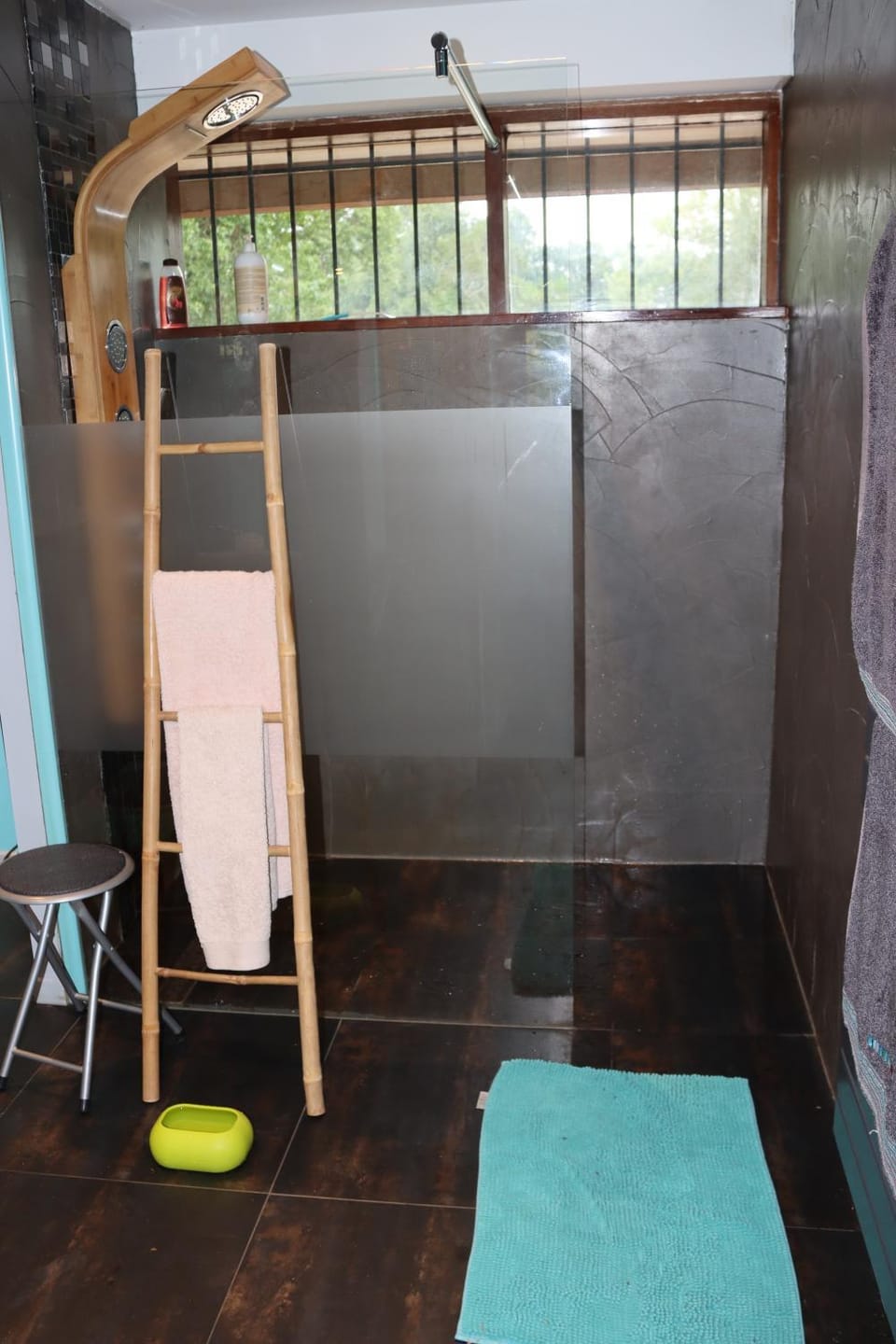 Shower, Bathroom, towels