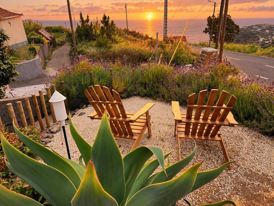 Natural landscape, Garden, Garden view, Sea view, Sunset