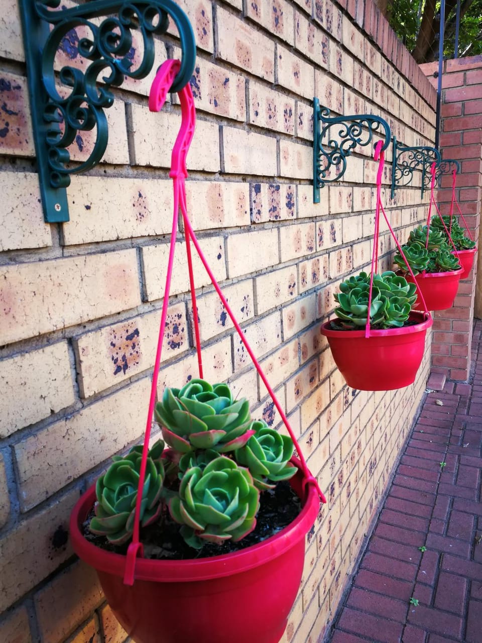 Ridderspoor Guesthouse Bed and Breakfast in South Africa
