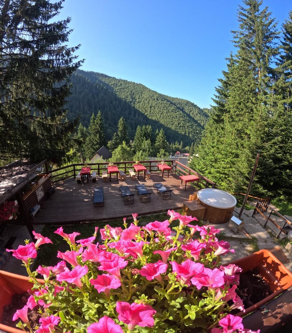 Day, Natural landscape