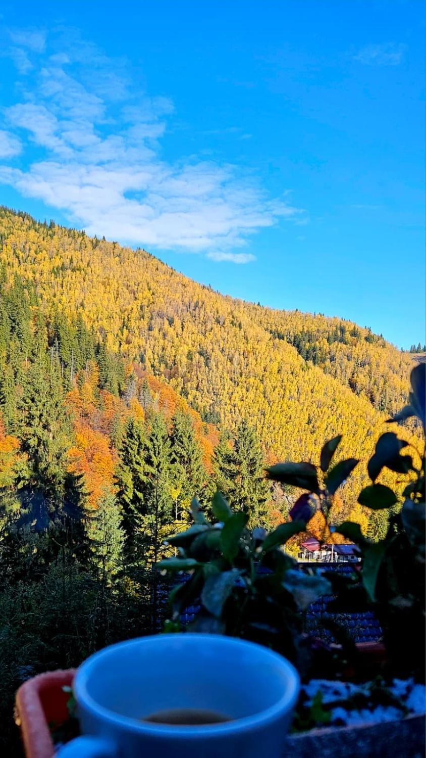 Day, Natural landscape