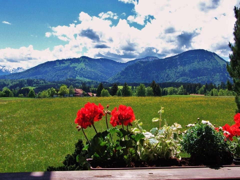 Natural landscape, Summer, Mountain view