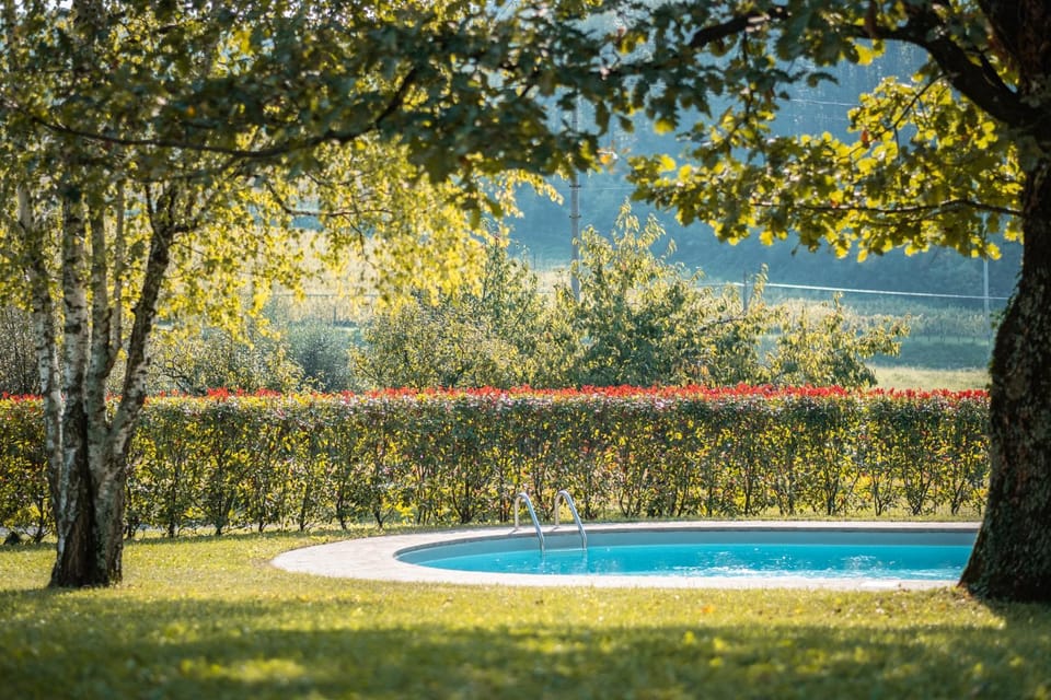 Swimming pool, Swimming pool