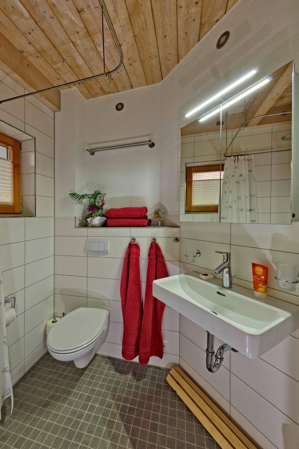 Bathroom, Living room