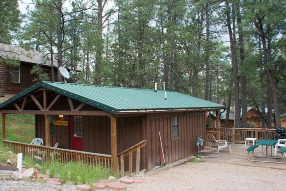 Beary Comfy Cabin Cabin in Ruidoso