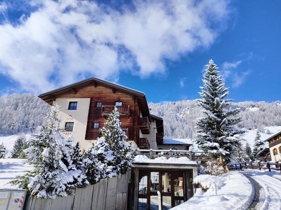 Property building, Natural landscape, Winter